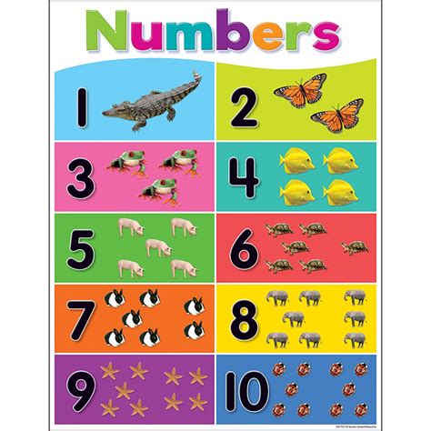 Numbers 